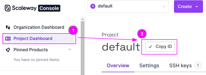 Scaleway Project ID